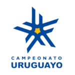 Premier Lig logosu