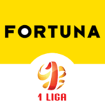 1. Lig logosu