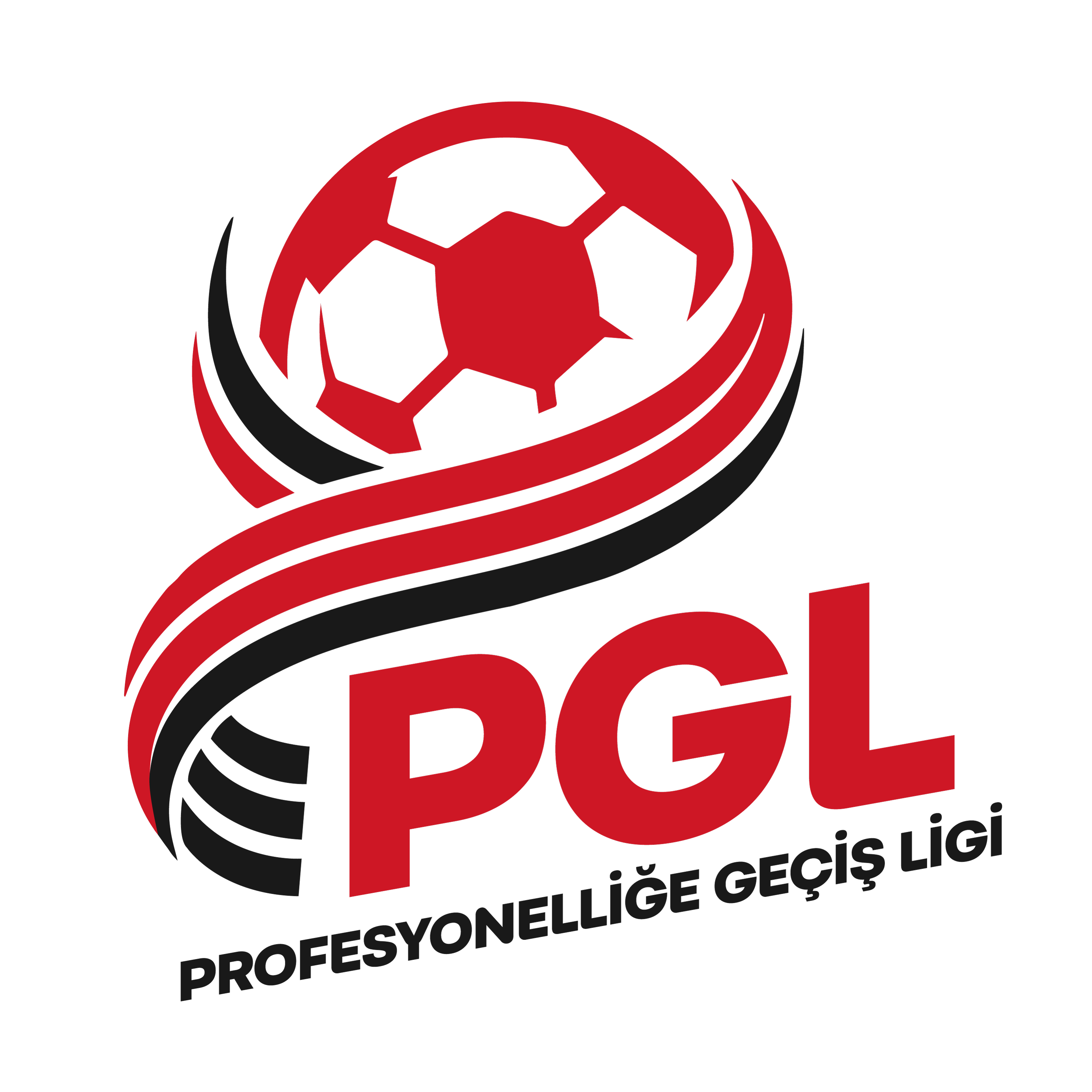 Profesyonelliğe Geçiş Ligi logosu